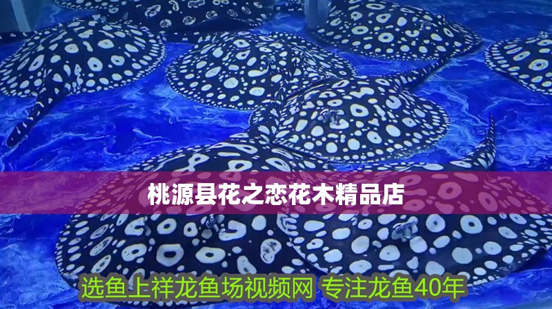 桃源縣花之戀花木精品店