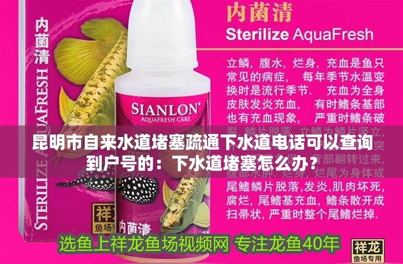 昆明市自來水道堵塞疏通下水道電話可以查詢到戶號的：下水道堵塞怎么辦？ 昆明市自來水道堵塞疏通下水道電話可以查詢到戶號的：下水道堵塞怎么辦？ 魚缸百科