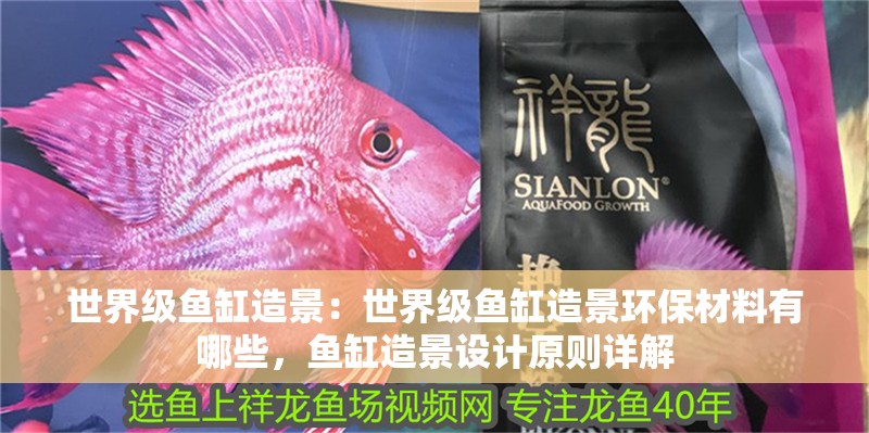 魚缸過濾器選購指南:自制魚缸過濾器魚缸上置過濾器對于養魚愛好者的必備知識 世界級魚缸造景:世界級魚缸造景環保材料有哪些,魚缸造景設計原則詳解 魚缸百科 世界級魚缸造景:世界級魚缸造景環保材料有哪些,魚缸造景設計原則詳解 世界級魚缸造景:世界級魚缸造景環保材料有哪些,魚缸造景設計原則詳解 魚缸百科