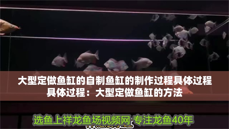 魚缸過濾器選購指南:自制魚缸過濾器魚缸上置過濾器對于養魚愛好者的必備知識 大型定做魚缸的自制魚缸的制作過程具體過程具體過程:大型定做魚缸的方法 魚缸百科 大型定做魚缸的自制魚缸的制作過程具體過程具體過程:大型定做魚缸的方法 大型定做魚缸的自制魚缸的制作過程具體過程具體過程:大型定做魚缸的方法 魚缸百科