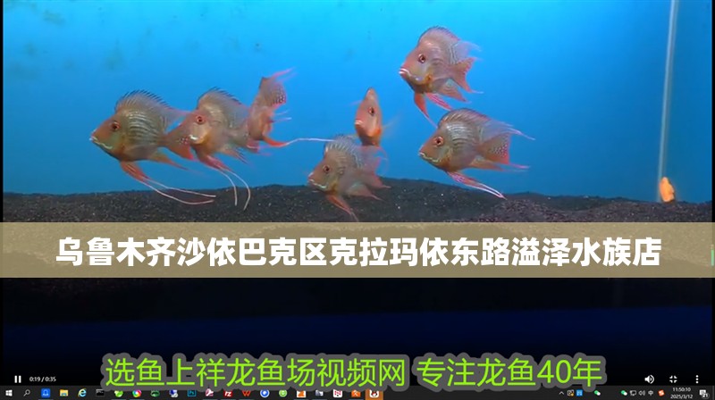 烏魯木齊沙依巴克區(qū)克拉瑪依東路溢澤水族店