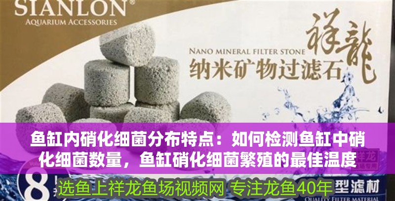 魚缸內硝化細菌分布特點：如何檢測魚缸中硝化細菌數量，魚缸硝化細菌繁殖的最佳溫度