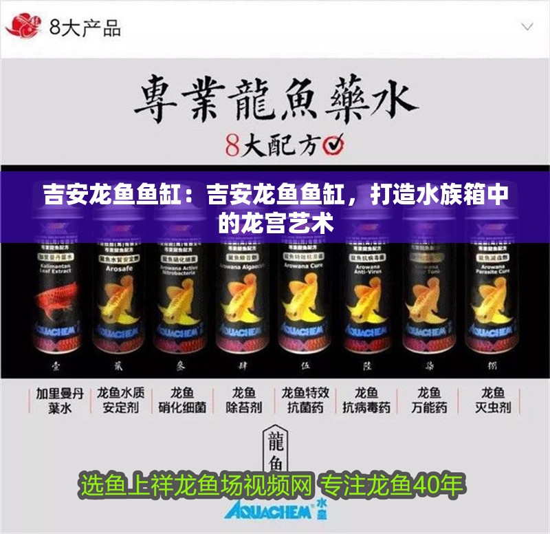 吉安龍魚魚缸：吉安龍魚魚缸，打造水族箱中的龍宮藝術