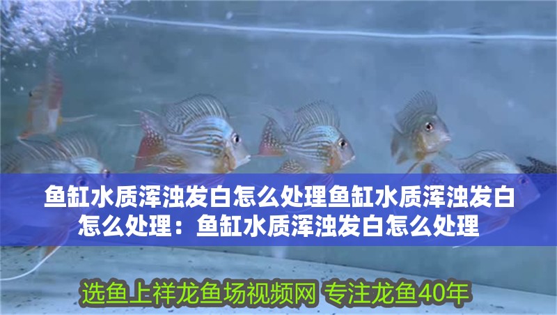 魚缸水質渾濁發白怎么處理魚缸水質渾濁發白怎么處理：魚缸水質渾濁發白怎么處理