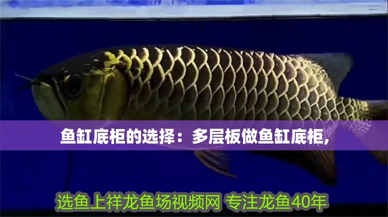 魚缸底柜的選擇：多層板做魚缸底柜,