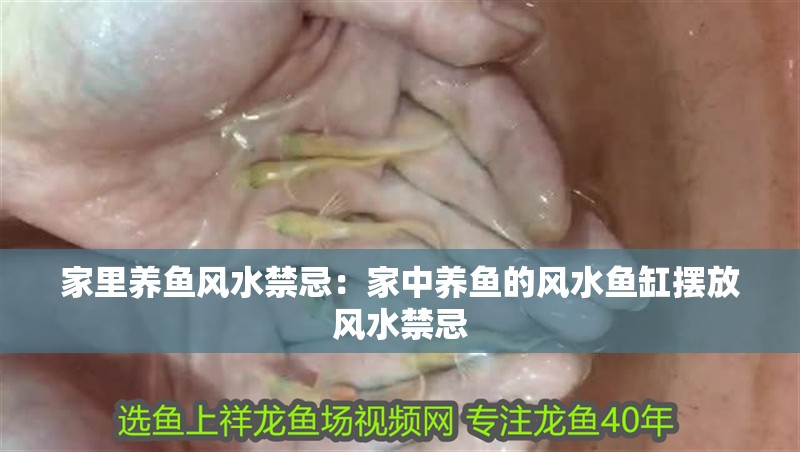 家里養(yǎng)魚風(fēng)水禁忌：家中養(yǎng)魚的風(fēng)水魚缸擺放風(fēng)水禁忌