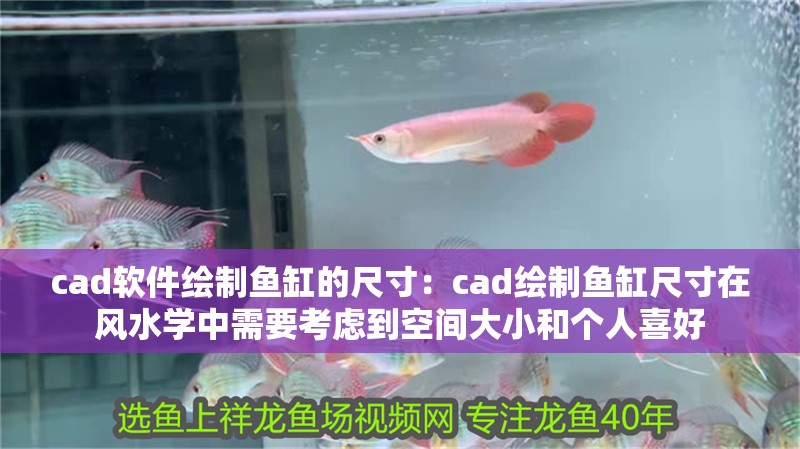 cad軟件繪制魚缸的尺寸：cad繪制魚缸尺寸在風水學中需要考慮到空間大小和個人喜好