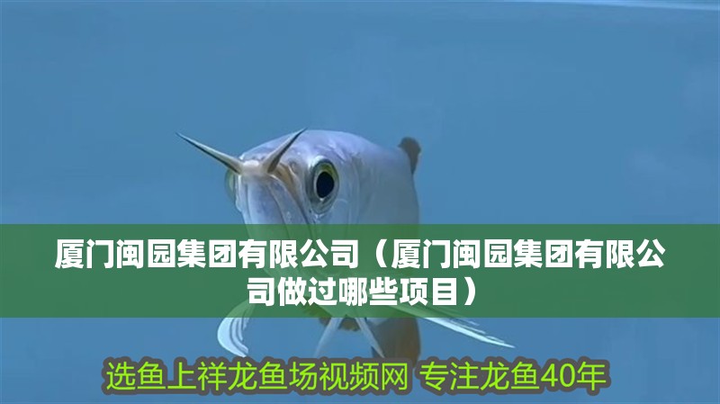 廈門閩園集團有限公司（廈門閩園集團有限公司做過哪些項目）
