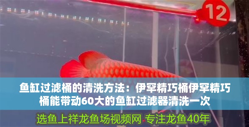 魚缸過濾桶的清洗方法：伊罕精巧桶伊罕精巧桶能帶動60大的魚缸過濾器清洗一次 魚缸過濾桶的清洗方法：伊罕精巧桶伊罕精巧桶能帶動60大的魚缸過濾器清洗一次 魚缸百科