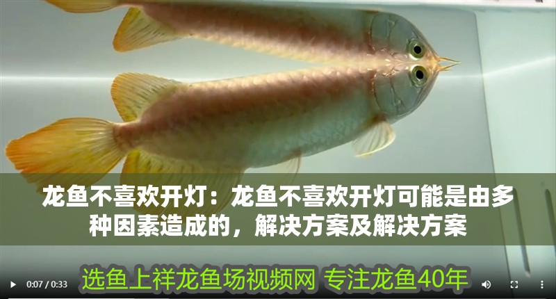 龍魚不喜歡開燈：龍魚不喜歡開燈可能是由多種因素造成的，解決方案及解決方案