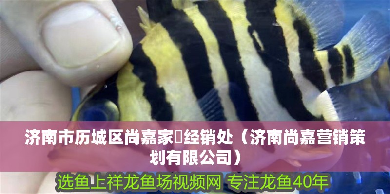 濟(jì)南市歷城區(qū)尚嘉家俬經(jīng)銷處（濟(jì)南尚嘉營(yíng)銷策劃有限公司）