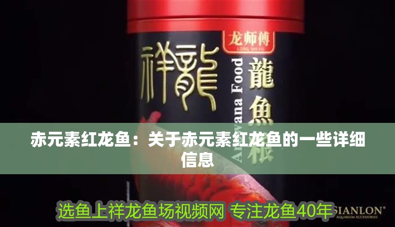赤元素紅龍魚：關于赤元素紅龍魚的一些詳細信息