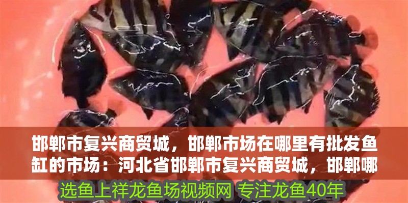 邯鄲市復興商貿城，邯鄲市場在哪里有批發魚缸的市場：河北省邯鄲市復興商貿城，邯鄲哪里有批發魚缸的市場