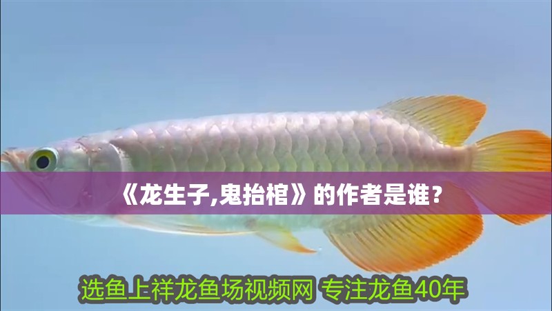 《龍生子,鬼抬棺》的作者是誰？