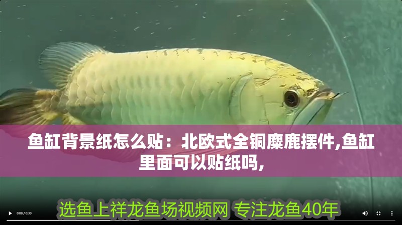 魚缸背景紙怎么貼：北歐式全銅麋鹿擺件,魚缸里面可以貼紙嗎,