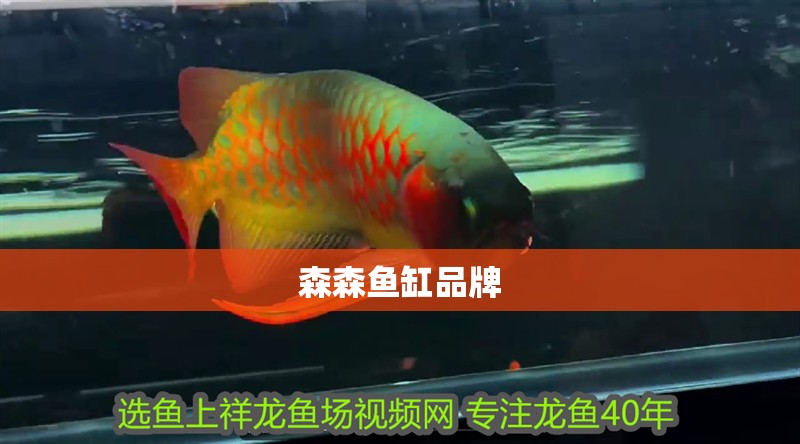 森森魚缸品牌