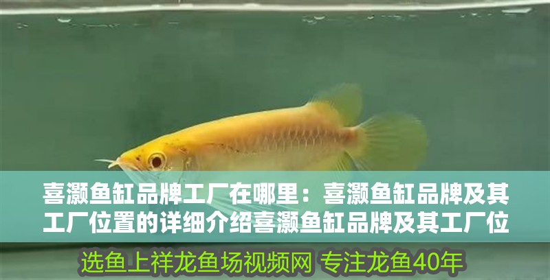 喜灝魚缸品牌工廠在哪里：喜灝魚缸品牌及其工廠位置的詳細介紹喜灝魚缸品牌及其工廠位置