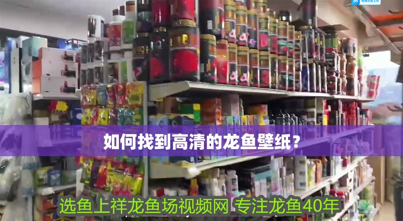 如何找到高清的龍魚壁紙？