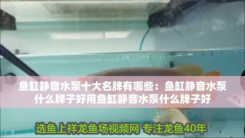 魚缸靜音水泵十大名牌有哪些：魚缸靜音水泵什么牌子好用魚缸靜音水泵什么牌子好