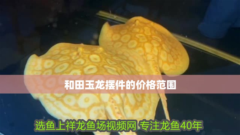 <strong><mark>和田</mark></strong>玉龍擺件的價(jià)格范圍