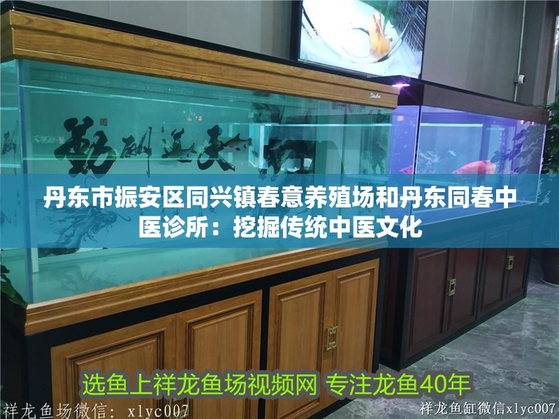 丹東市振安區同興鎮春意養殖場和丹東同春中醫診所：挖掘傳統中醫文化