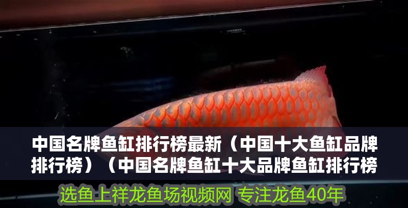 中國名牌魚缸排行榜最新（中國十大魚缸品牌排行榜）（中國名牌魚缸十大品牌魚缸排行榜，森森sunsun、可麗愛、可麗愛、ada和創星）