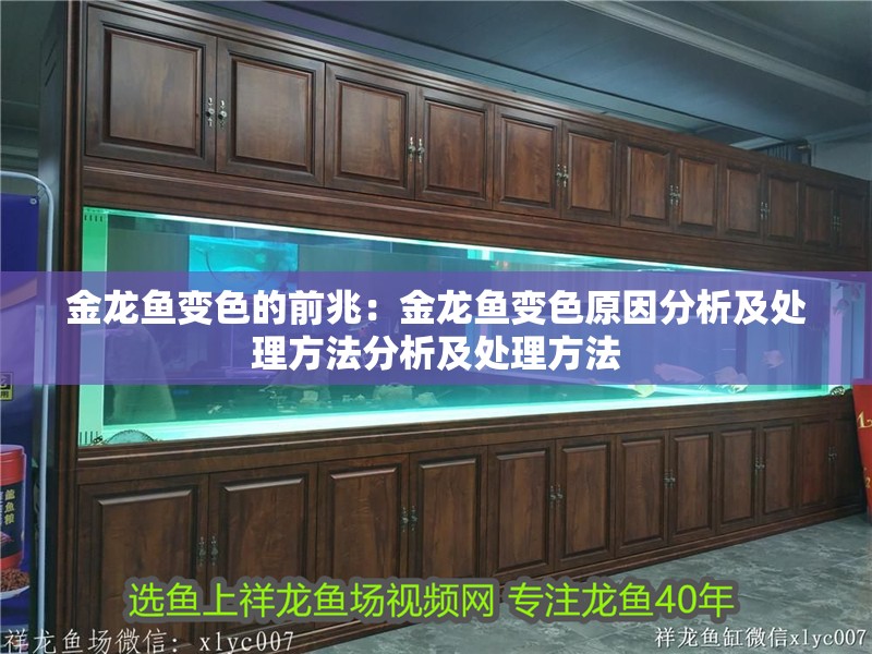 金龍魚變色的前兆：金龍魚變色原因分析及處理方法分析及處理方法 金龍魚變色的前兆：金龍魚變色原因分析及處理方法分析及處理方法 龍魚百科