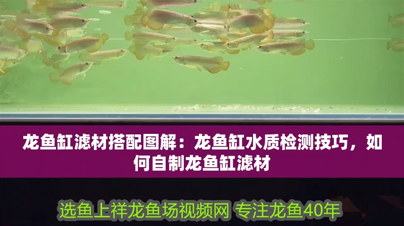 龍魚缸濾材搭配圖解：龍魚缸水質檢測技巧，如何自制龍魚缸濾材 龍魚缸濾材搭配圖解：龍魚缸水質檢測技巧，如何自制龍魚缸濾材 龍魚百科