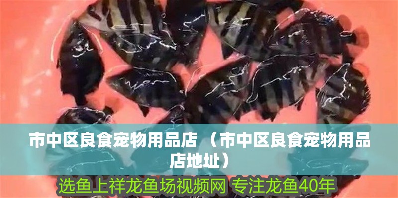 市中區良食寵物用品店 （市中區良食寵物用品店地址）