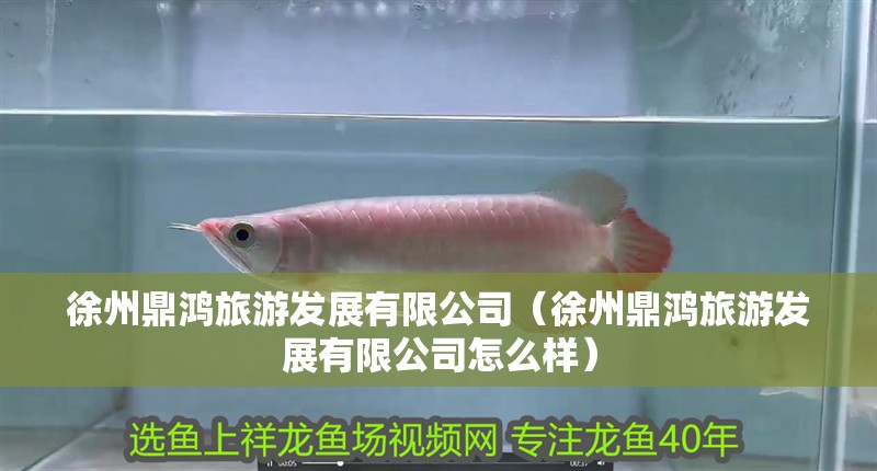 徐州鼎鴻旅游發(fā)展有限公司（徐州鼎鴻旅游發(fā)展有限公司怎么樣）