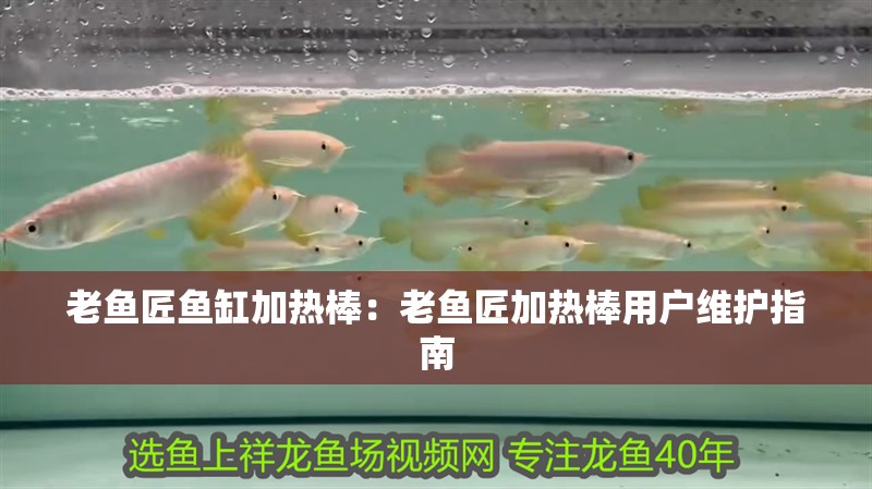 老魚匠魚缸加熱棒：老魚匠加熱棒用戶維護(hù)指南