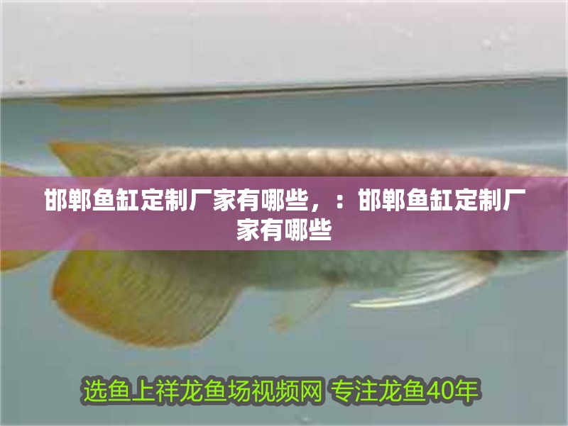 魚缸用增氧泵價(jià)格是多少:魚缸增氧機(jī)-xtrac增氧機(jī)-xtrac增氧機(jī) 邯鄲魚缸定制廠家有哪些,:邯鄲魚缸定制廠家有哪些 魚缸百科 邯鄲魚缸定制廠家有哪些,:邯鄲魚缸定制廠家有哪些 邯鄲魚缸定制廠家有哪些,:邯鄲魚缸定制廠家有哪些 魚缸百科