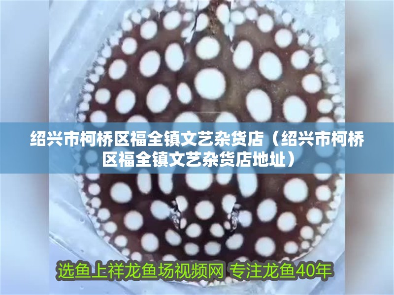 紹興市柯橋區(qū)福全鎮(zhèn)文藝雜貨店（紹興市柯橋區(qū)福全鎮(zhèn)文藝雜貨店地址）