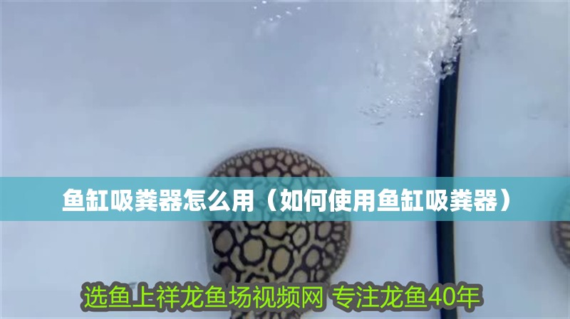 魚缸吸糞器怎么用（如何使用魚缸吸糞器）