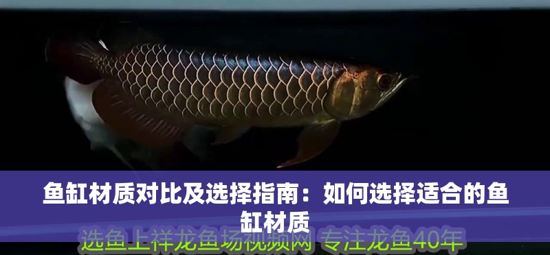 魚缸材質對比及選擇指南：如何選擇適合的魚缸材質