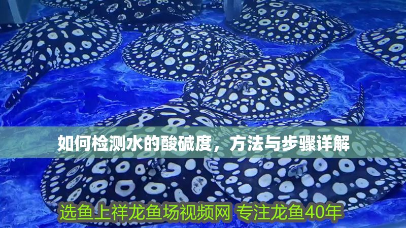 如何檢測水的酸堿度，方法與步驟詳解