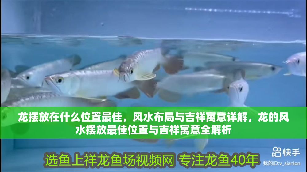 龍擺放在什么位置最佳，風水布局與吉祥寓意詳解，龍的風水擺放最佳位置與吉祥寓意全解析