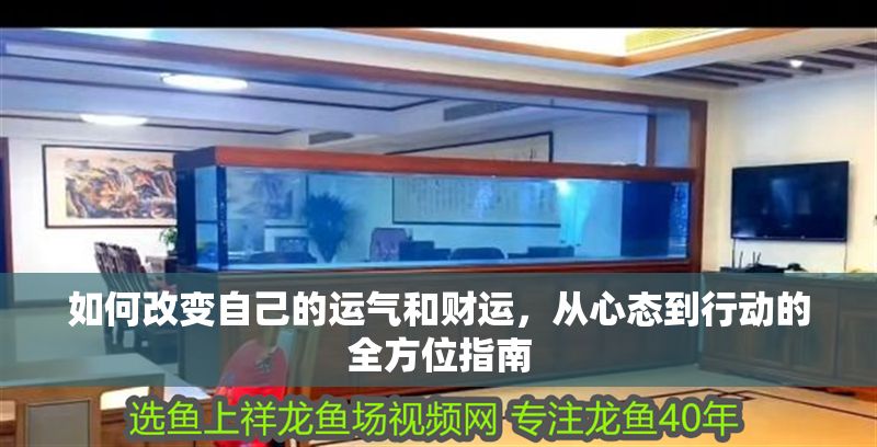 如何改變自己的運氣和財運，從心態到行動的全方位指南 如何改變自己的運氣和財運，從心態到行動的全方位指南 龍魚百科 第1張