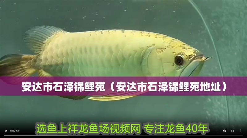 安達市石澤錦鯉苑（安達市石澤錦鯉苑地址）