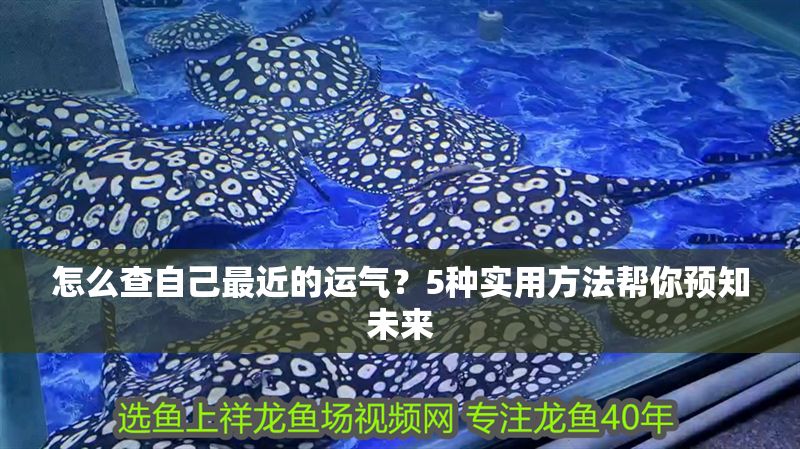 怎么查自己最近的運氣？5種實用方法幫你預知未來