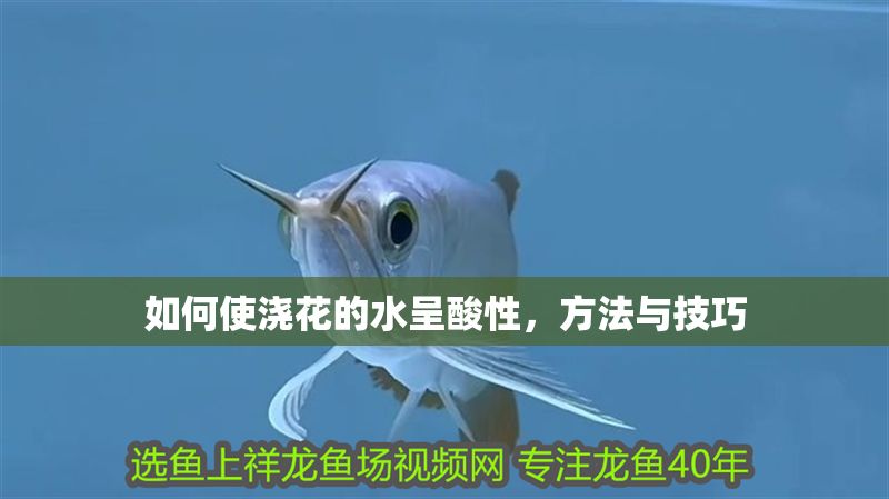 如何使澆花的水呈酸性，方法與技巧