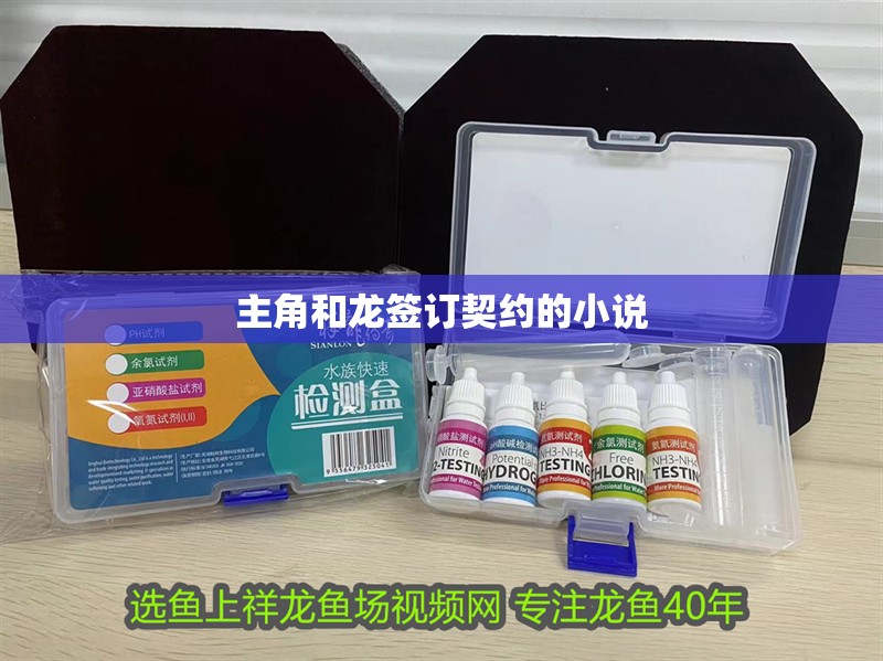 主角和龍簽訂契約的小說