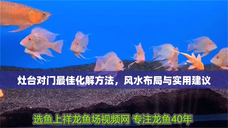 灶臺對門最佳化解方法，風水布局與實用建議