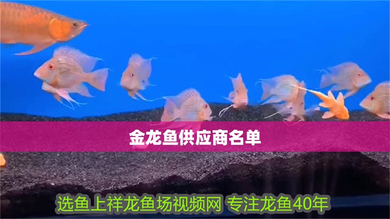 金龍魚供應商名單