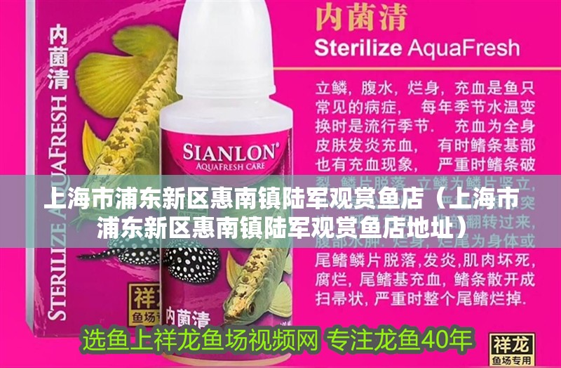 上海市浦東新區惠南鎮陸軍觀賞魚店（上海市浦東新區惠南鎮陸軍觀賞魚店地址）