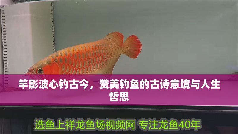 竿影波心釣古今，贊美釣魚的古詩意境與人生哲思