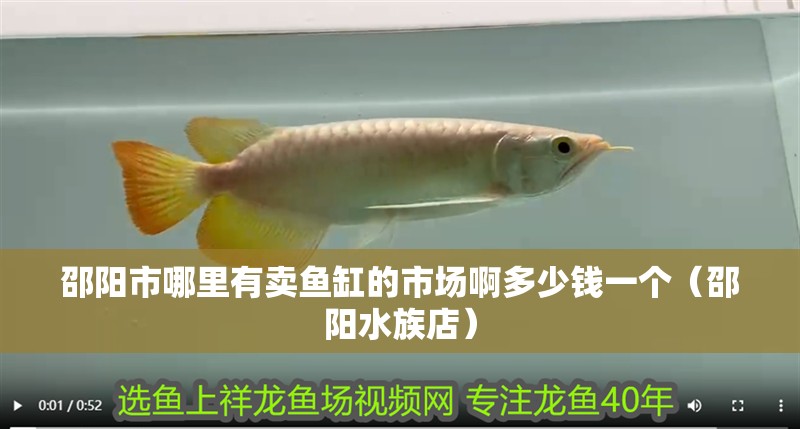 邵陽市哪里有賣魚缸的市場啊多少錢一個（邵陽水族店）