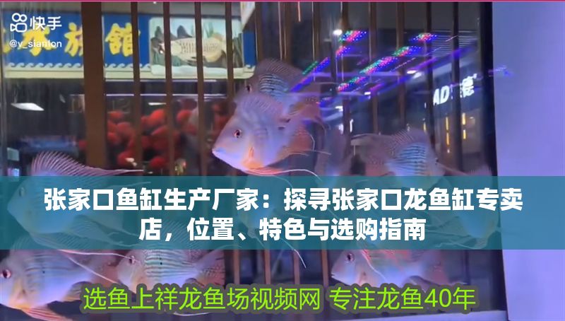 張家口魚缸生產廠家：探尋張家口龍魚缸專賣店，位置、特色與選購指南
