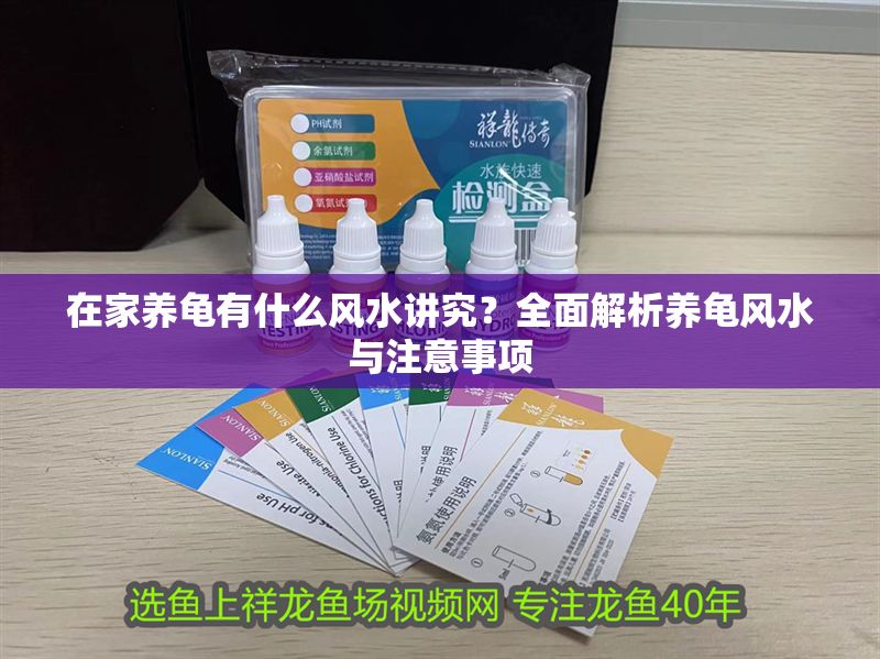 在家養(yǎng)龜有什么風(fēng)水講究？全面解析養(yǎng)龜風(fēng)水與注意事項(xiàng)