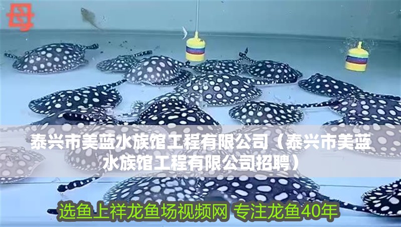 泰興市美藍(lán)水族館工程有限公司（泰興市美藍(lán)水族館工程有限公司招聘）